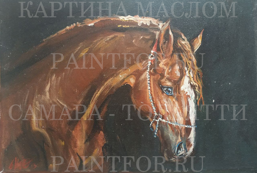 Картина маслом Жеребец 40х50